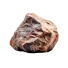 1-1-100×100.webp