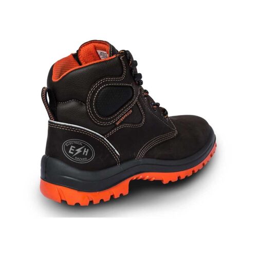 Bota neptuno - Image 3