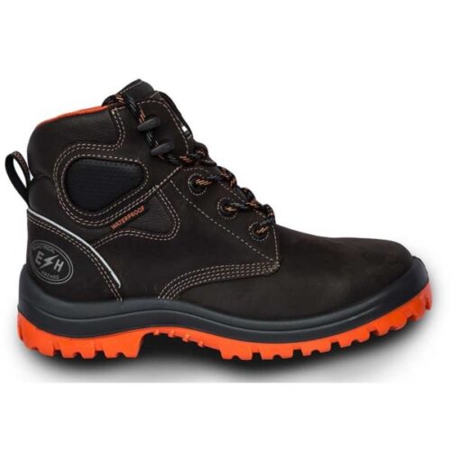 Bota neptuno - Image 2