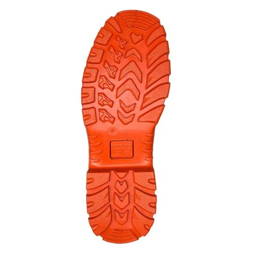 Bota neptuno - Image 4