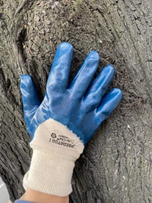 Guantes nitrilo liso - Image 3
