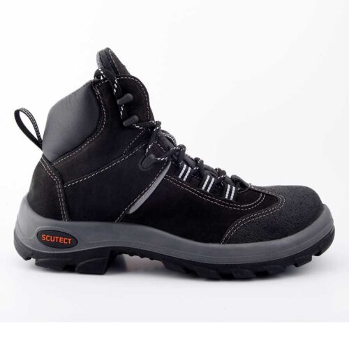 Bota evolution - Image 2